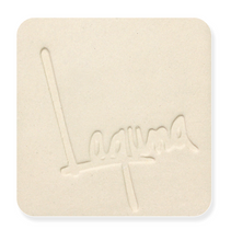 Load image into Gallery viewer, Laguna Clay B-Mix 5 WC401 (Cone 5)