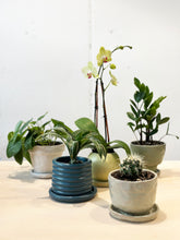 Load image into Gallery viewer, Pots for Plants