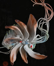 Load image into Gallery viewer, Wallflowers