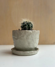 Load image into Gallery viewer, Pots for Plants