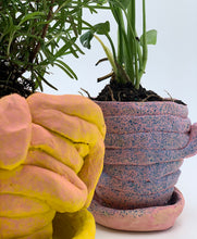 Load image into Gallery viewer, Pots for Plants