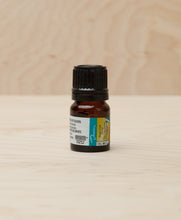 Load image into Gallery viewer, Bright Gold Luster