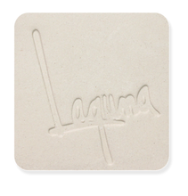 Load image into Gallery viewer, Laguna Clay B Mix WC379 (Cone 10)
