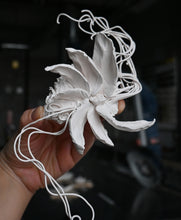 Load image into Gallery viewer, Wallflowers
