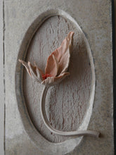 Load image into Gallery viewer, Wallflowers
