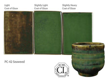 Load image into Gallery viewer, Amaco Potter&#39;s Choice / PC-42 Seaweed
