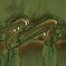 Load image into Gallery viewer, Amaco Potter&#39;s Choice / PC-42 Seaweed
