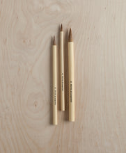 Load image into Gallery viewer, Bamboo Brush 3 pack/single
