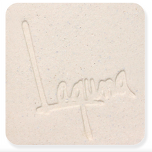 Load image into Gallery viewer, Laguna Clay WC953 / Max's Paper Clay
